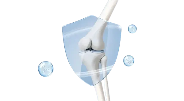 Articulacao-sana Rappresentazione medica di un'articolazione del ginocchio protetta e rigenerata.